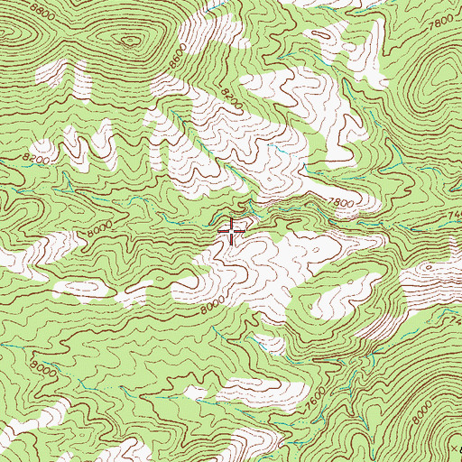 Topographic Map of Withington Wilderness, NM