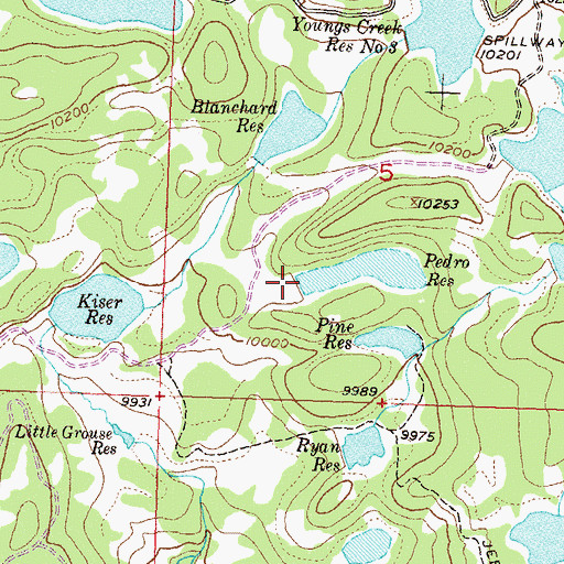 Topographic Map of Pedro Dam, CO