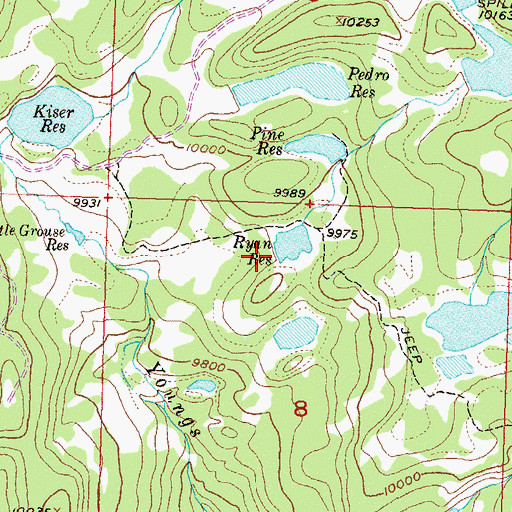 Topographic Map of Ryan Dam, CO