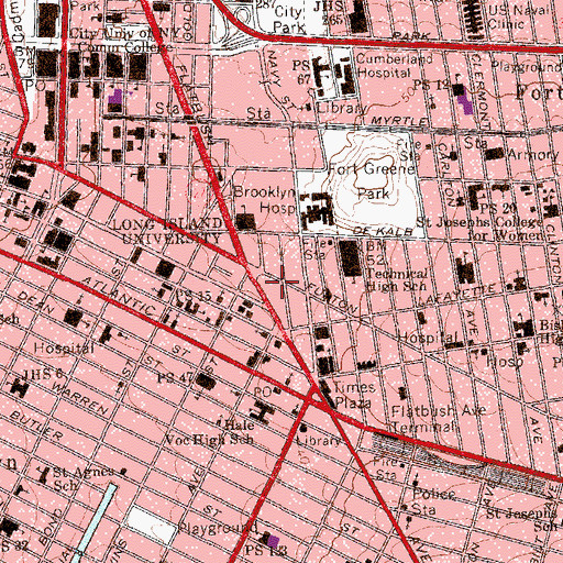 Topographic Map of Brooklyn Children and Youth Day Treatment Center, NY