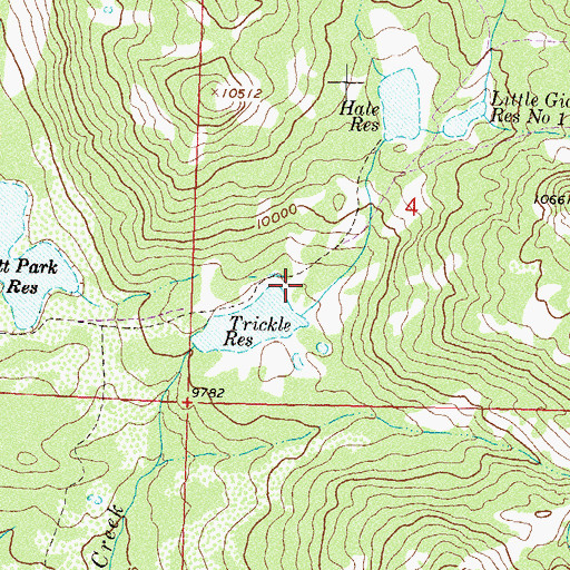 Topographic Map of Trickle Dam, CO