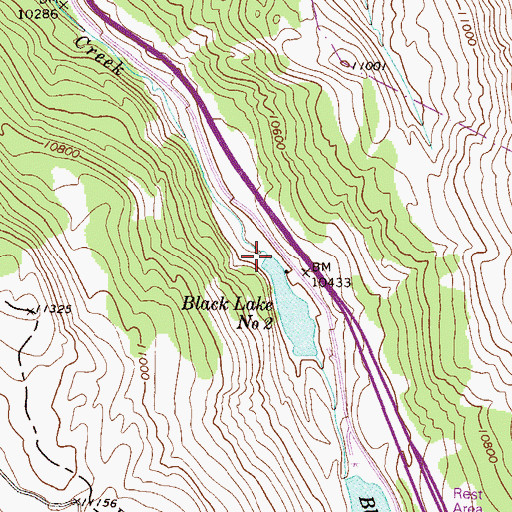 Topographic Map of Black Lake Number 2 Dam, CO