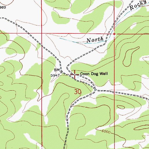 Topographic Map of Coon Dog Storage Tank, NM