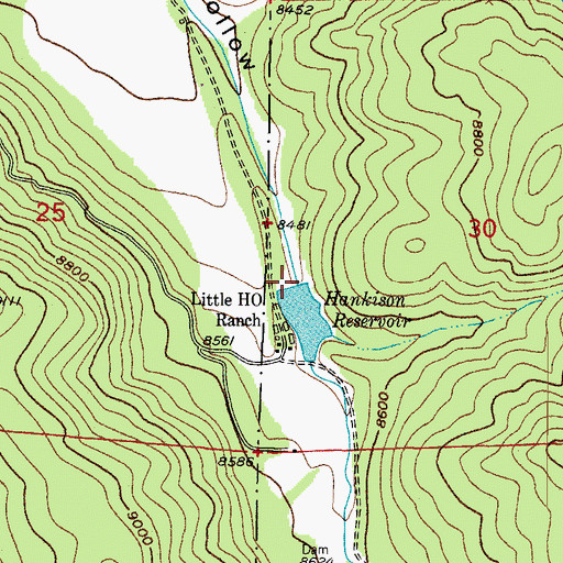 Topographic Map of Hankison Dam, CO