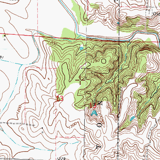 Topographic Map of Middle Racoon River Access, IA