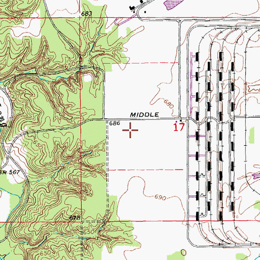 Topographic Map of Mormon Cemetery, IA