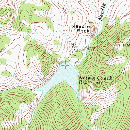 Topographic Map of Needle Dam, CO