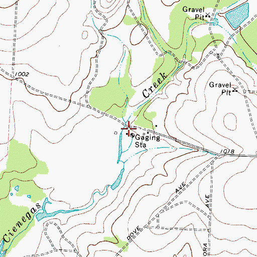 Topographic Map of Cantu Spring, TX