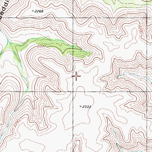 Topographic Map of Sweetwater Springs, TX