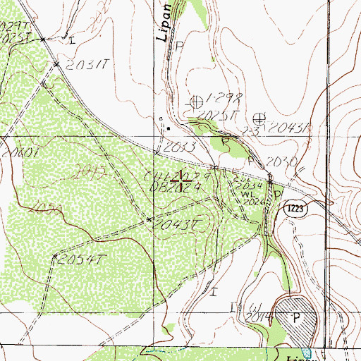 Topographic Map of Lipan Spring, TX