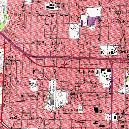 Topographic Map of Tyler Springs, TX