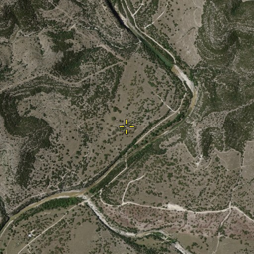 Aerial/Satellite Image of Morriss Spring, TX