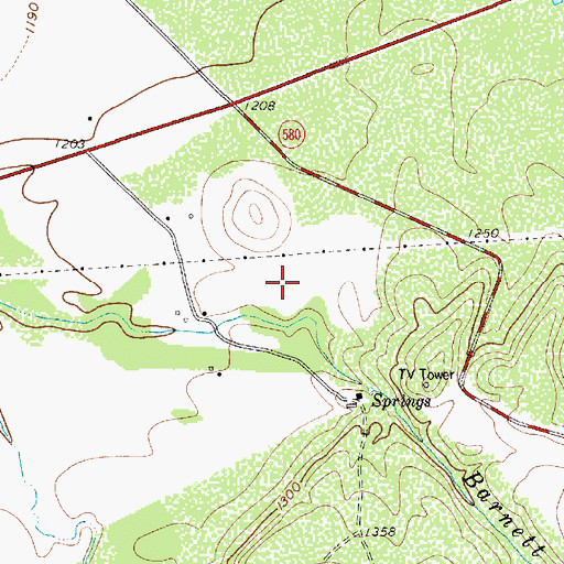 Topographic Map of Barnett Springs, TX