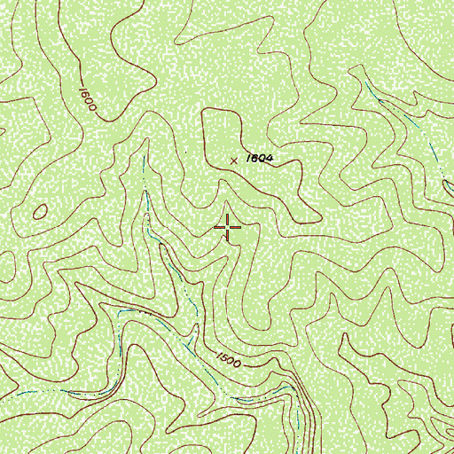 Topographic Map of Wallace Springs, TX