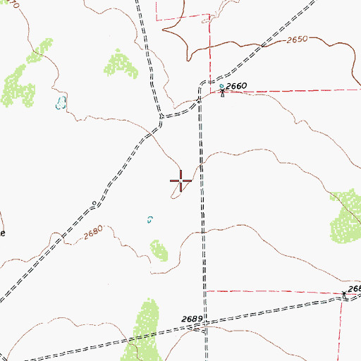 Topographic Map of San Simon Springs, TX