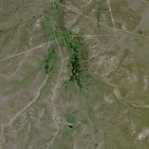 Aerial/Satellite Image of Coldwater Spring, TX