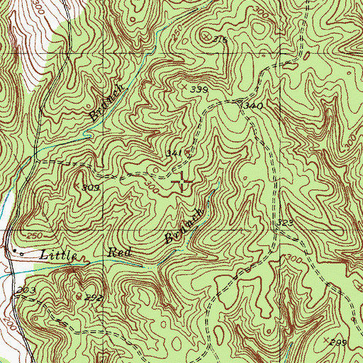 Topographic Map of Shawnee Mineral Springs, TX