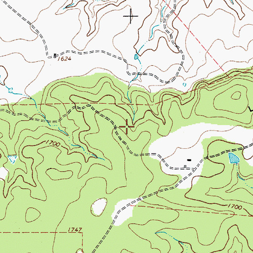 Topographic Map of Cold Spring, TX