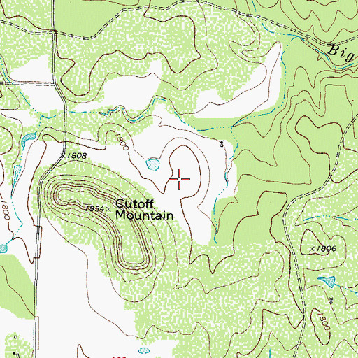 Topographic Map of Pluenneke Springs, TX