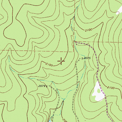 Topographic Map of Wilkinson Springs, TX