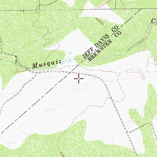 Topographic Map of Leoncita Springs, TX