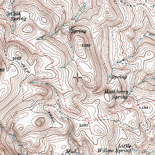 Topographic Map of Little Willow Springs, TX