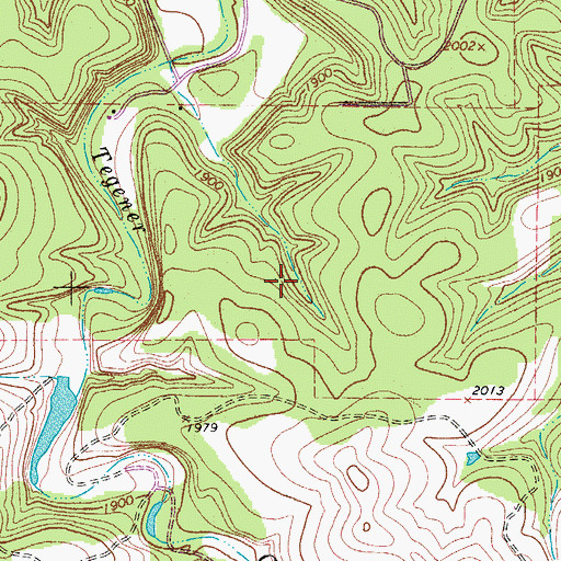 Topographic Map of Tegener Springs, TX