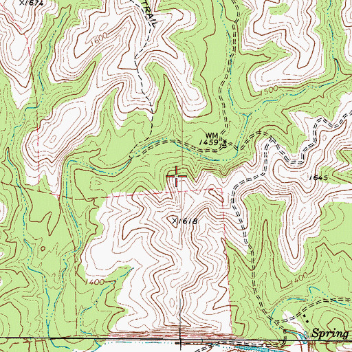 Topographic Map of Moran Springs, TX