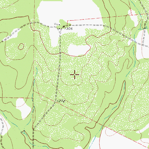 Topographic Map of Pecan Springs, TX