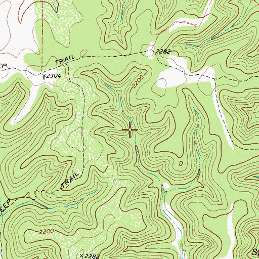 Topographic Map of Pulliam Springs, TX