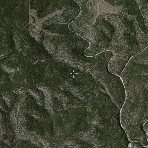 Aerial/Satellite Image of Roberts Springs, TX