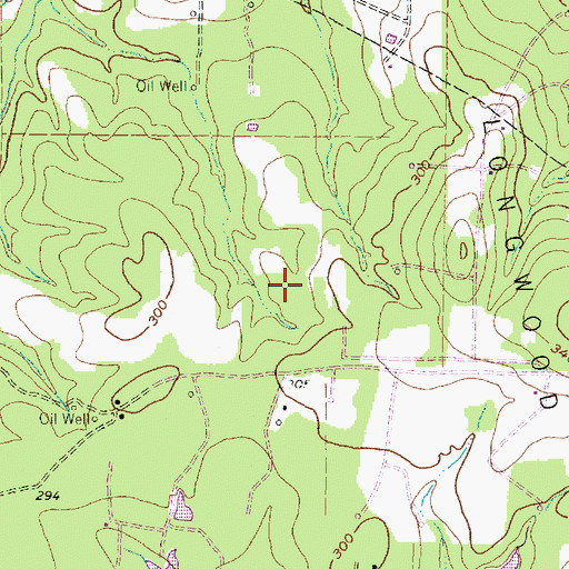 Topographic Map of Coushatta Spring, TX