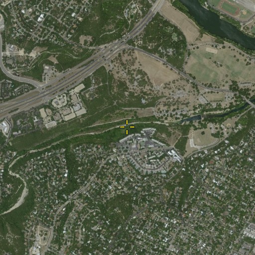 Aerial/Satellite Image of Upper Barton Spring, TX