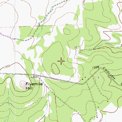 Topographic Map of Cold Springs, TX