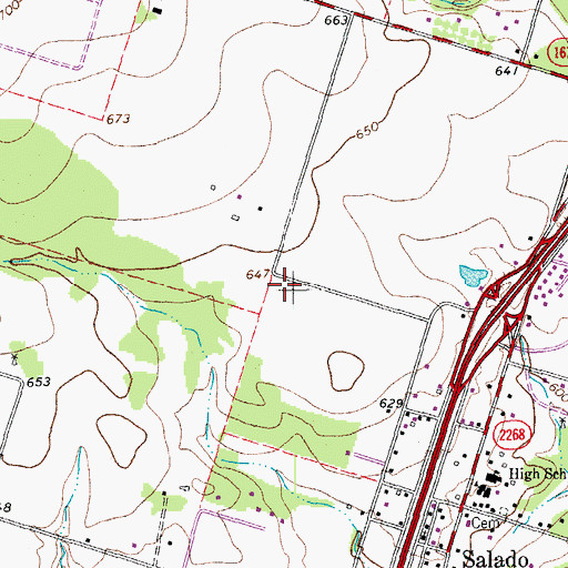 Topographic Map of Salado Springs, TX