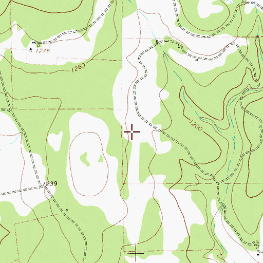 Topographic Map of Spring Branch Springs, TX
