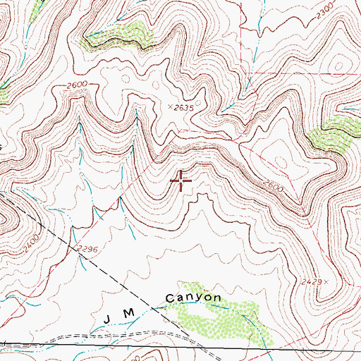 Topographic Map of Live Oak Spring, TX
