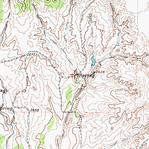 Topographic Map of West Spring, TX