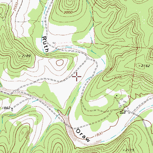 Topographic Map of McCurdy Springs, TX