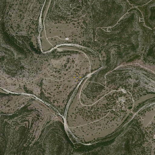 Aerial/Satellite Image of McCurdy Springs, TX