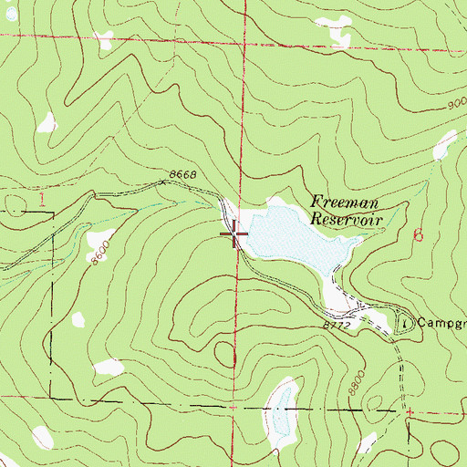 Topographic Map of Freeman Dam, CO