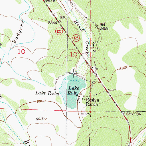 Topographic Map of Lake Roslyn, CO