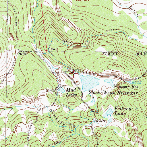 Topographic Map of Slack and Weiss Dam, CO