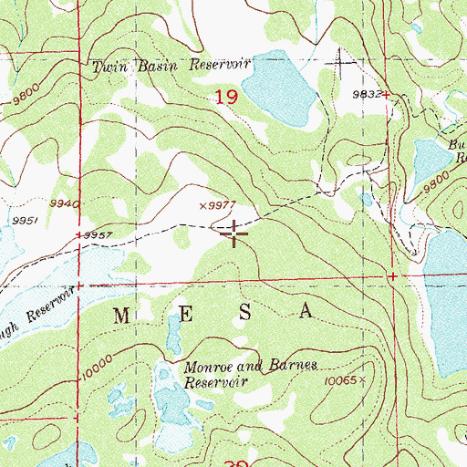 Topographic Map of Whale Reservoir, CO