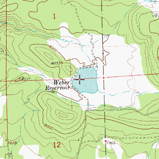 Topographic Map of Weber Dam, CO