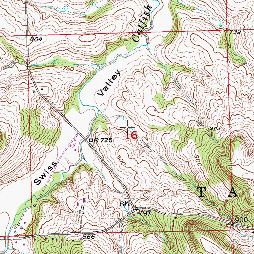 Topographic Map of Baehler Cemetery (historical), IA