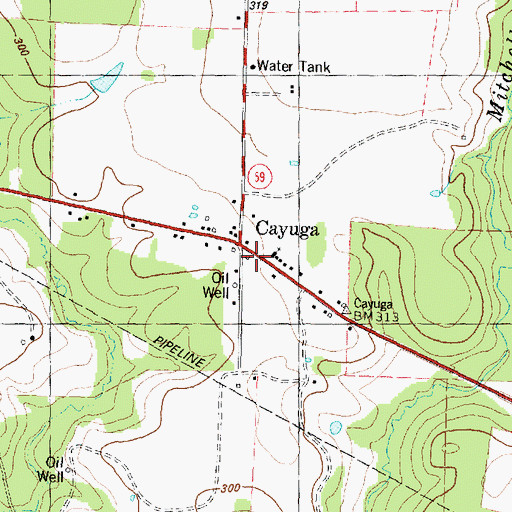 Topographic Map of Cayuga High School, TX