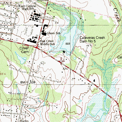 Topographic Map of Oak Crest Intermediate School, TX