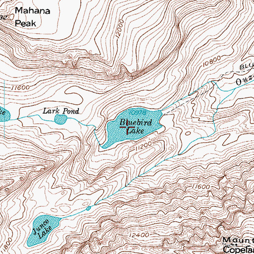 Topographic Map of Bluebird Dam, CO
