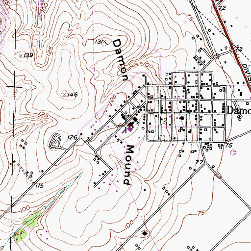 Topographic Map of Damon Elementary School, TX